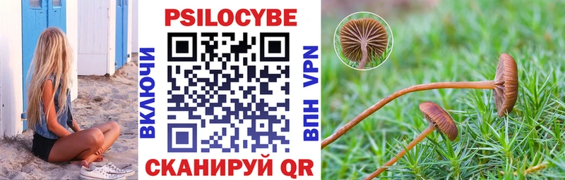 Галлюциногенные грибы Cubensis  Чапаевск 