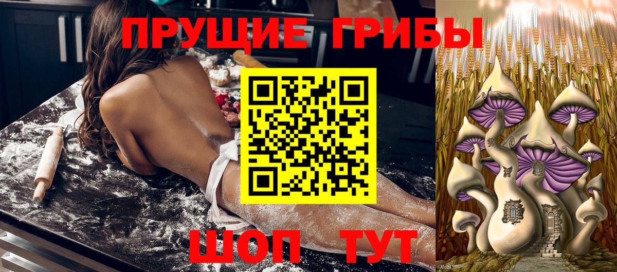 Галлюциногенные грибы Cubensis Чапаевск